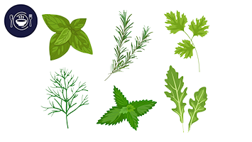 Different Types Herbs we Used in Kitchen